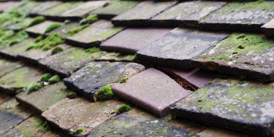 Butetown roof repair costs